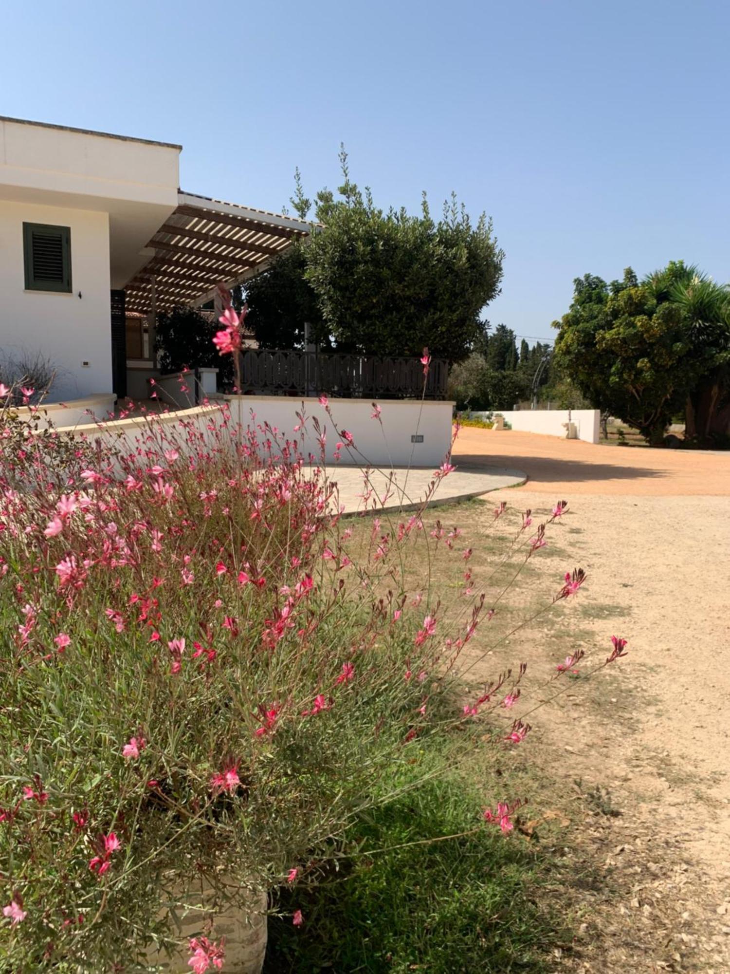 Agriturismo Fontanelle Οτράντο Εξωτερικό φωτογραφία