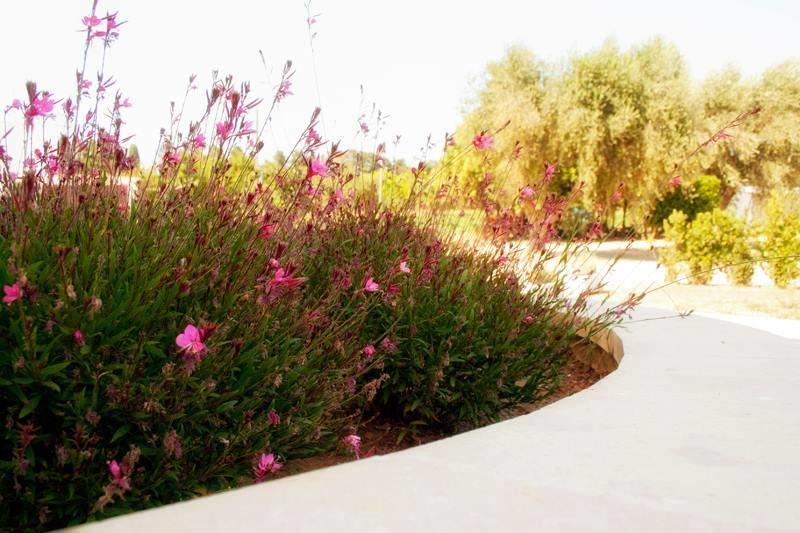 Agriturismo Fontanelle Οτράντο Εξωτερικό φωτογραφία